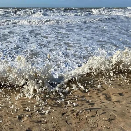 Met Zeezicht In * Ostende