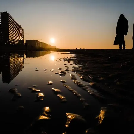 Met Zeezicht In 오스텐드