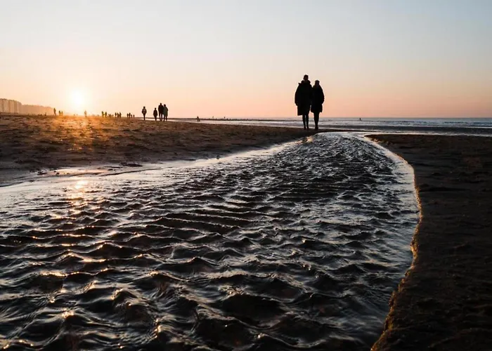 Met Zeezicht In Oostende