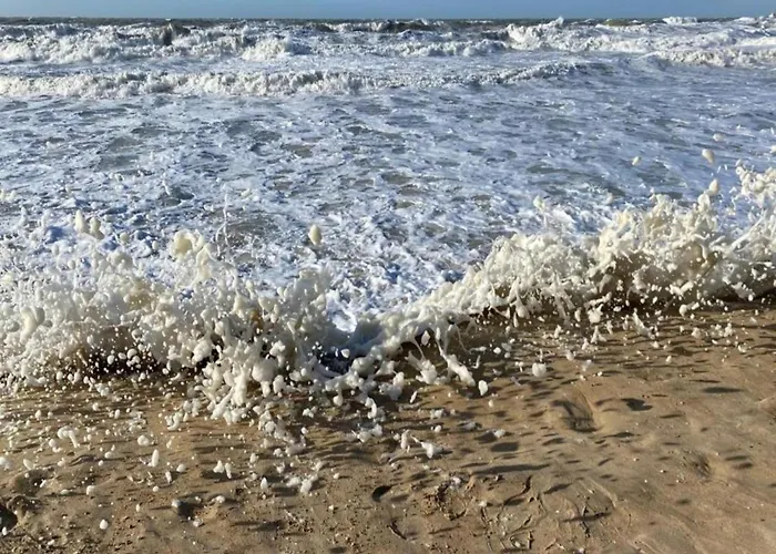 Met Zeezicht In * Oostende