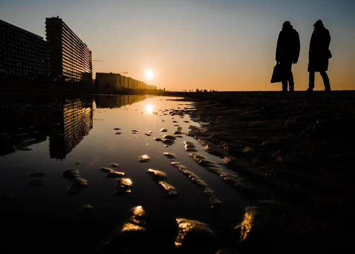 Met Zeezicht In Oostende